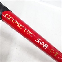 クローズアップ 玉ノ柄ＣーⅡ